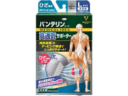 a oeR[ʋCT|[^[ Ђp傫 Vo[O[