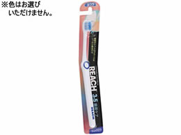 Xet@j[ [` 3.5PAnuV RpNg ӂ