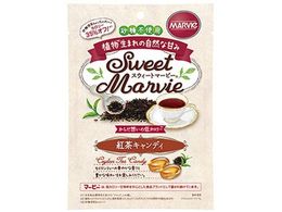 n[o[ XEB[g}[r[ gLfB 49g