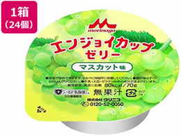 �N���j�R �G���W���C �J�b�v�[���[ �}�X�J�b�g 70g�~24��