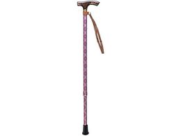 Ђ܂  2iLkXebL VH2406