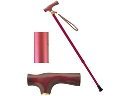 Ђ܂  2iLkXebL VH2^ Jɂ