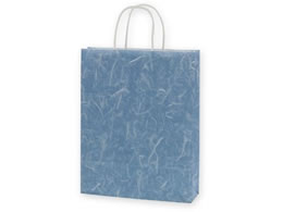 wCR[  25`[obO MS1 _  50 003276131