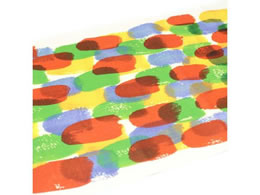 J mtCNV[g RY colorful MTCARYI03