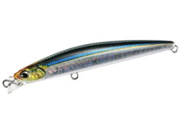 �f���I �r�[�`�E�H�[�J�[ �A�N�V�I���X����85 CYA0582 �J�^�{�V�C���V