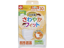 bN ₩tBbg}XN qǂp 30