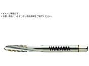 }/[XpC^bv LO-SP P2 15 M5X0.8 LO-SP-P2-15-M5X0.8