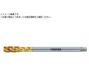 }/OpXpC^bv LS-F-SP L100 P2 M6X1 LS-F-SP-F-P2-100-M6X1