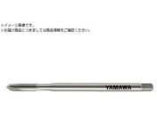 ���}��/�����O���ޗp�|�C���g�^�b�v LS-PM-PO L100 P3 M5X0.8 LS-PM-PO-F-P3-100-M5X0.8