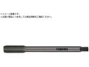 ���}��/�����O��S�p���[���^�b�v LS-N-RS L100 G7 M6X1 B LS-N-RS-F-G7-100-M6X1-B