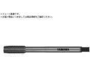 ���}��/�����O��S�p���[���^�b�v LS-N-RS L100 G7 M6X1 P LS-N-RS-F-G7-100-M6X1-P