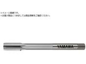 ���}��/�����O�V�����N���d�n���h�^�b�v LS-N-CT L150 P4 M20X2.5 3P LS-N-CT-P4-150-M20X2.5-3P