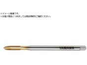 }/OR[eBO|Cg^bv LS-PO V L100 P2 M4X0.7 LS-PO-V-F-P2-100-M4X0.7