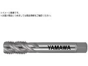 }/OXpC^bv LS-SP L150 P3 M22X1.5 LS-SP-P3-150-M22X1.5