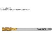 ���}��/�����O�R�[�e�B���O�X�p�C�����^�b�v LS-SP V L100 P2 M8X1.25 LS-SP-V-P2-100-M8X1.25