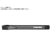 }/OXeX|pV[g|Cg^bv LS-SU-S-PO L200 P4 M20X2.5 LS-SU-S-PO-P4-200-M20X2.5