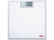 seca/�f�W�^���t���b�g�X�P�[�� �̏d�v 25-3215-00 SECA803(�V��)