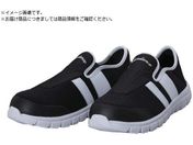 T_X/SL-250 yʈSXbvI ubN&zCg 27.0