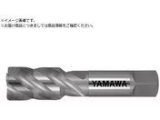 } XpC^bv SP P2 M22X1 SP-M22X1