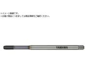���}��/Z-PRO ���d�x�Y�f�|�p���[���^�b�v MHRZ L100 G8 M6X1 B MHRZ-Z-100-G8-M6X1-B