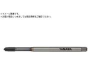 ���}��/Z-PRO ���d�x�Y�f�|�p���[���^�b�v MHRZ L100 G8 M6X1 P MHRZ-Z-100-G8-M6X1-P