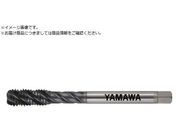 ���}��/Z-PRO ���d�x�Y�f�|�p�X�p�C�����^�b�v MHSP P4 M12X1.25 MHSP-P4-M12X1.25