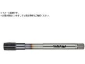 ���}��/Z-PRO ���d�x�Y�f�|�p���[���^�b�v MHRZ G8 M10X1.25 P MHRZ-Z-G8-M10X1.25-P