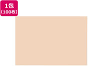 �剤����/�Đ��F��p�� 8�c��100�� ������������