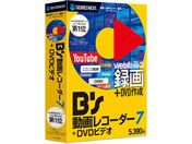 ソースネクスト/B’s 動画レコーダー 7+DVDビデオ/290150