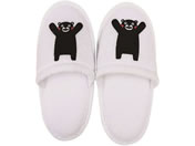 �O�a �q���p�X���b�p ���܃��� 66-0017-97