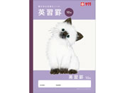 �T�N���N���p�X/�w�K�� �p�K�r 10�i/NJ93