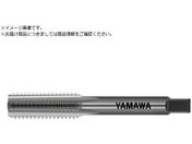 }/Spdnh^bv N-CT FC P3 M12X1 1.5P N-CT-FC-P3-M12X1-1.5P