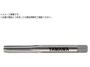 }/ypdnh^bv N-CT LA P4 M14X1.5 3P N-CT-LA-P4-M14X1.5-3P