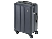 Gh[/LIEVE 4փL[ 48cm _[NO[/1-250/DGY