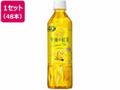 �L����/�ߌ�̍g�� �������e�B�[ 500ml�~48�{