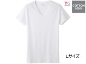 GUNZE/YG COTTON100% VネックTシャツ ホワイトL 1枚/YV0015N