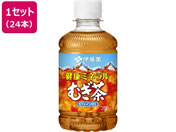 伊藤園/健康ミネラルむぎ茶 280mL ハーフケース 12本×2箱