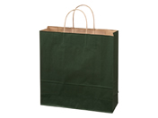 スーパーバッグ/カラー紙手提げ袋 緑 M 50枚/92660190