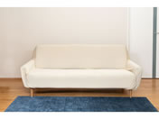 �q���J��/���炳�琶�n�̃\�t�@�J�o�[ �I�t 3�l�|�� �x�[�W��/QT-670