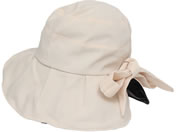 �q���J��/���������Ղ�X�q �A�C�{���[/QT-645