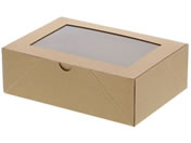 �V���W�}/NF�l�I�N���t�g ���tBOX L 20��/4248311