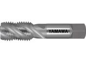 } XpC^bv SP P3 M28X2 N-SP-M28X2