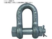 TAIYO/TAIYOシャックルM ドブ SB-16 3005568 TSB16G