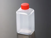 �������w/�^���� �ꍇ�� (D) 25��