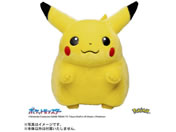 �^�J���g�~�[/�|�P����30���N�L�O ��������!�s�J�`���E 1�^1