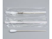 �x�X�P�A �z�X�s�^���Ȗ_ ��21�~254mm 1�{/�܁~50��/8-3097-04