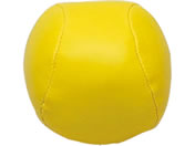 TOEI LIGHT �g�[�G�C���C�g �J���[��SL70(10��1�g) ��