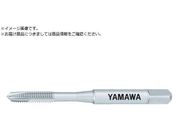 }/|Cg^bv PO P2 M2X0.4 PO-M2X0.4