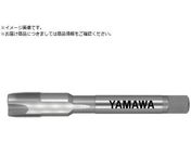 }/|Cg^bv PO P2 M11X0.5 PO-P2-M11X0.5