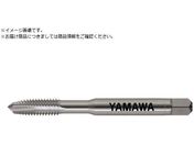 }/|Cg^bv PO P3 M6X0.75 PO-P3-M6X0.75+20